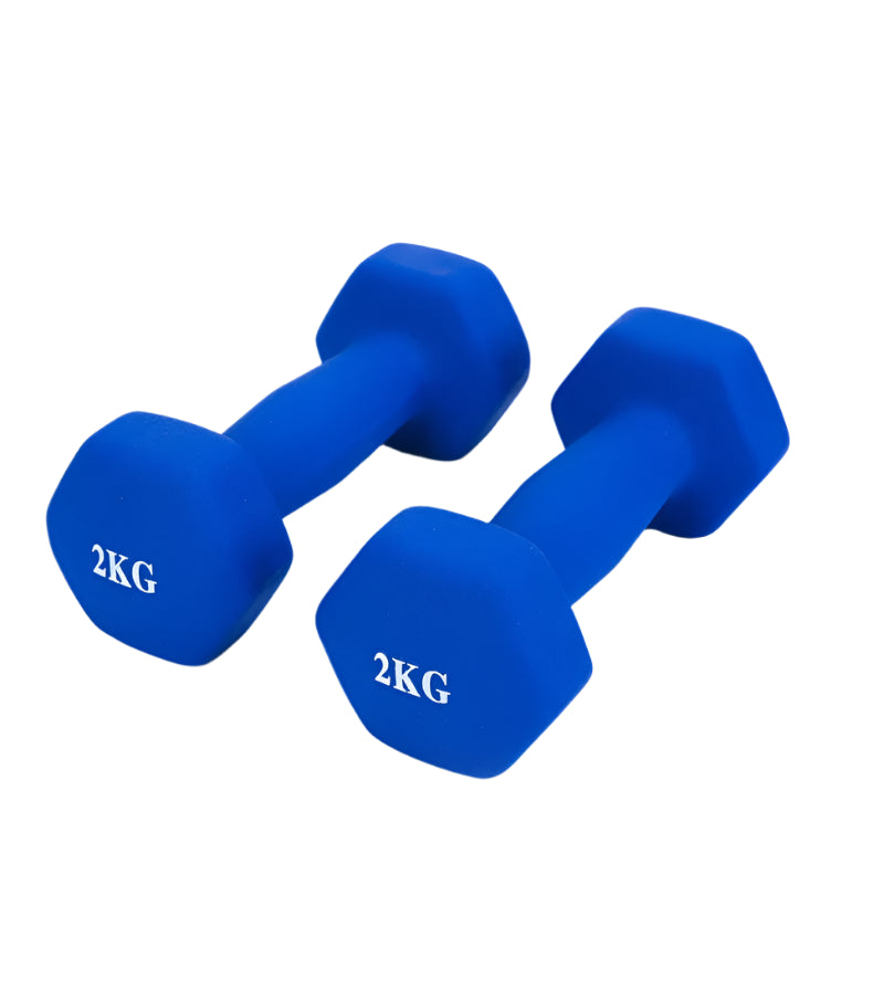 2.5kg Hex Dumbbell for Yoga & Home Fitness