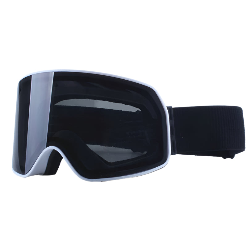 Skiing Snowboard Goggles Women Men