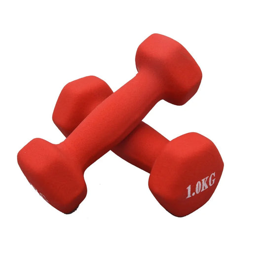 2.5kg Hex Dumbbell for Yoga & Home Fitness
