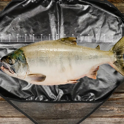 Foldable Fish Weighing Sling