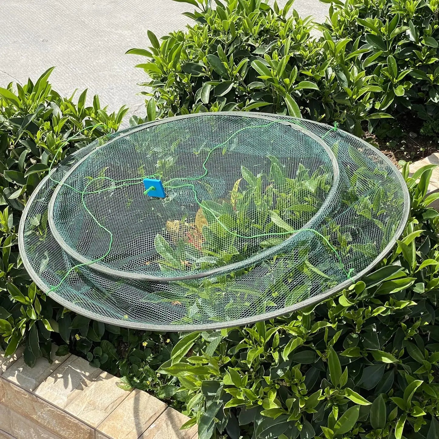 Large Foldable Drop Fishing Net