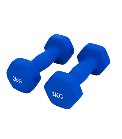 2.5kg Hex Dumbbell for Yoga & Home Fitness