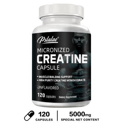 Performance Creatine Muscle Recovery
