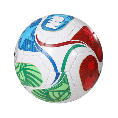 Professional Size 5 Training Football