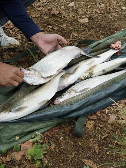 Folding Mesh Fish Weigh Bag
