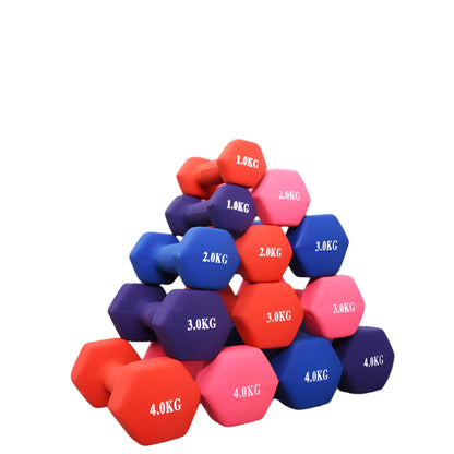 2.5kg Hex Dumbbell for Yoga & Home Fitness