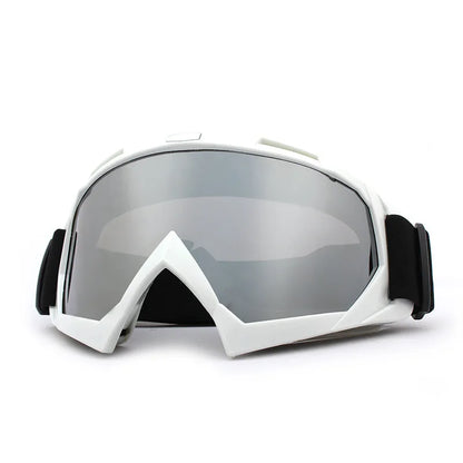 Winter Anti-Fog Snowboard Ski Glasses