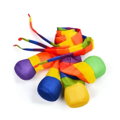 Rainbow Tail Training Ball