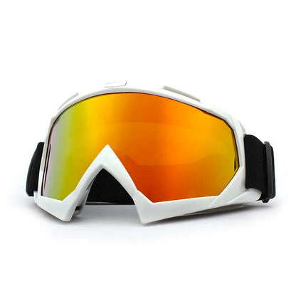 Winter Anti-Fog Snowboard Ski Glasses