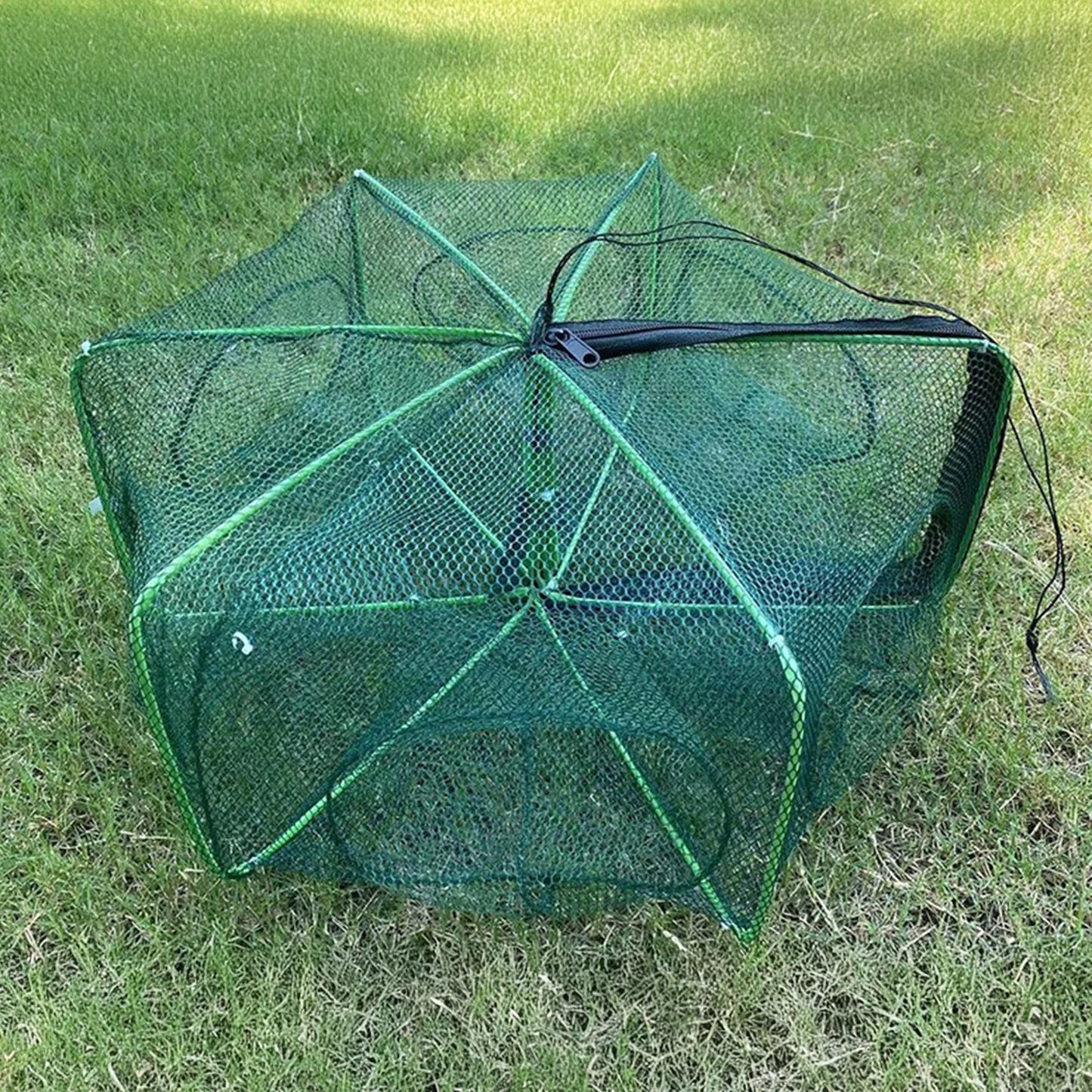 Collapsible Multi-Entry Fishing Trap