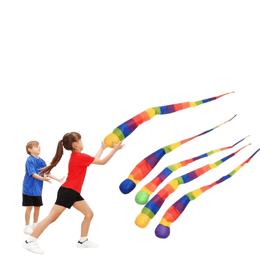 Rainbow Tail Training Ball