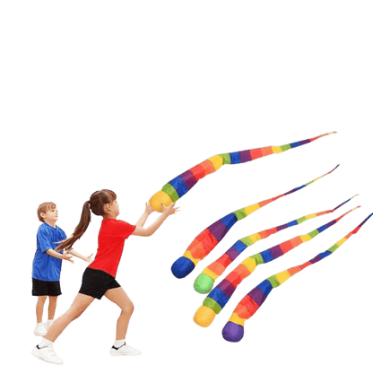 Rainbow Tail Training Ball